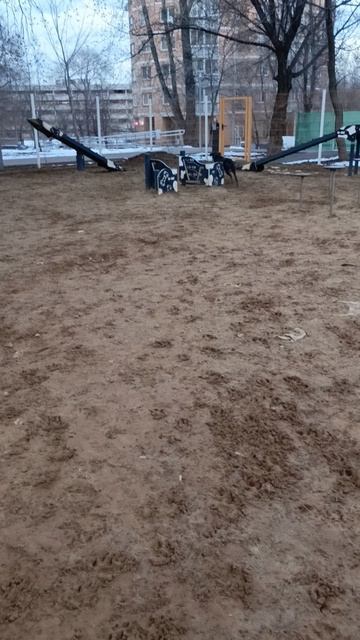 Реджи.