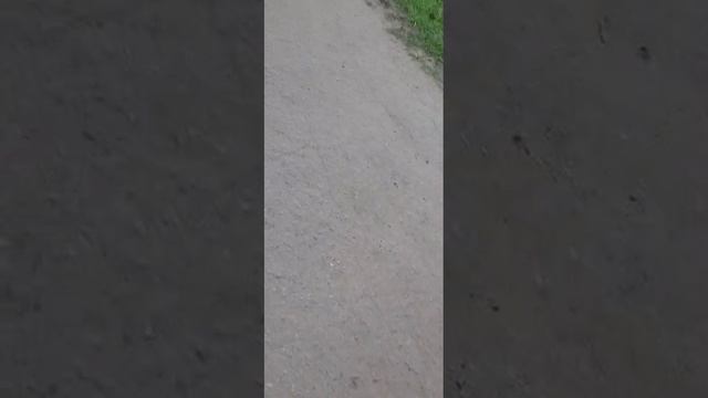 дом