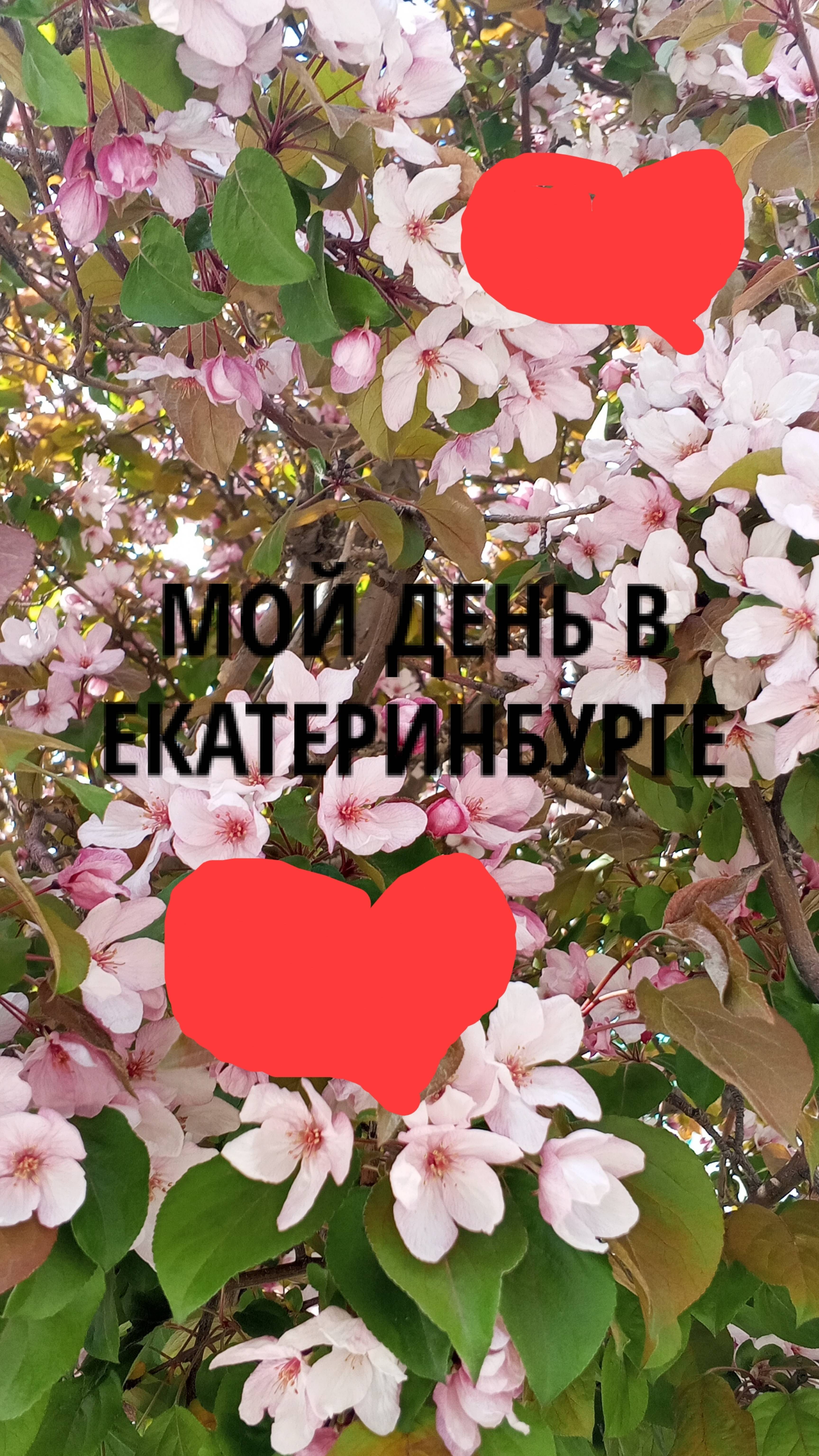 Мой день в Екатеринбурге. Обожаю такие дни🌹