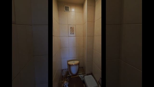1000086357.mp4