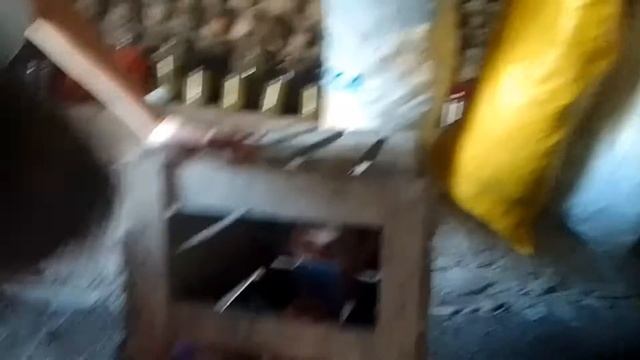 посадили Аслана в непробиваемый бокс