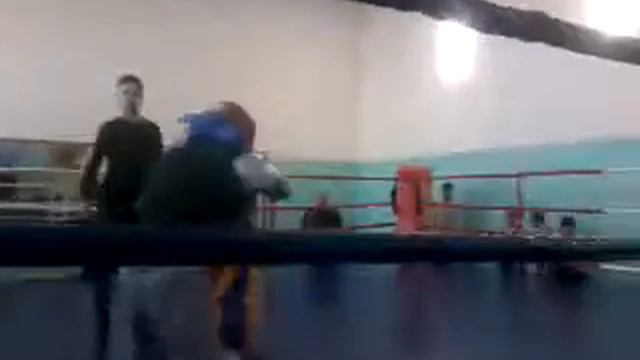 Молодые боксеры- будущие чемпион