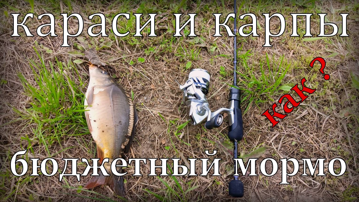 Караси и карпы на бюджетный МОРМЫШИНГ !!! Nautilus Fukuru 0,1-0,8 гр. УМЕЕТ в "белую" рыбу