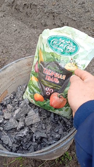 Защита капусты от слизней 👍😊