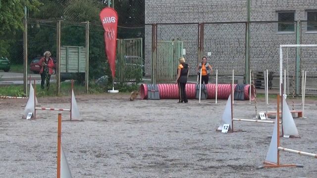 Шинкаревич Любовь и шпиц Сима. D-Open