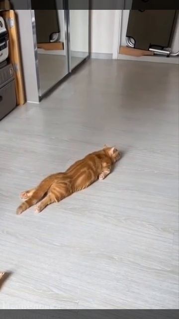 жизнь боль