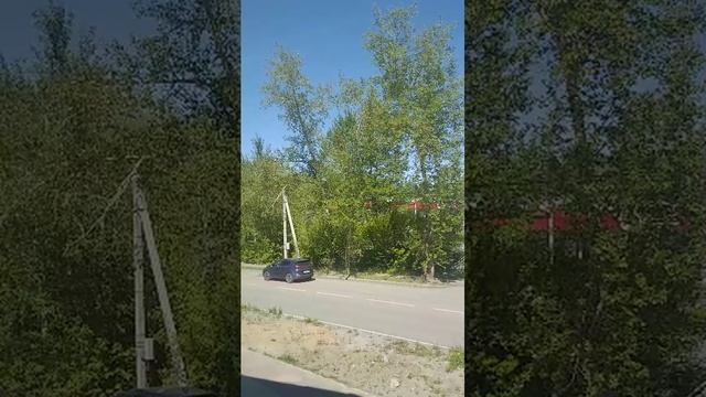 выходные