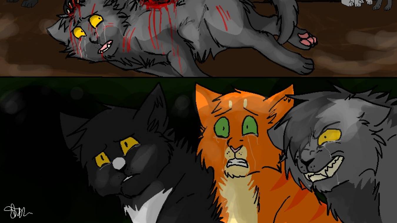 Коты воители (клиновица) Анимация