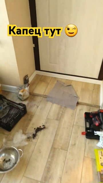 #юмор#юморина#уборка#дачнаяжизнь#рассада #прикол #цвет