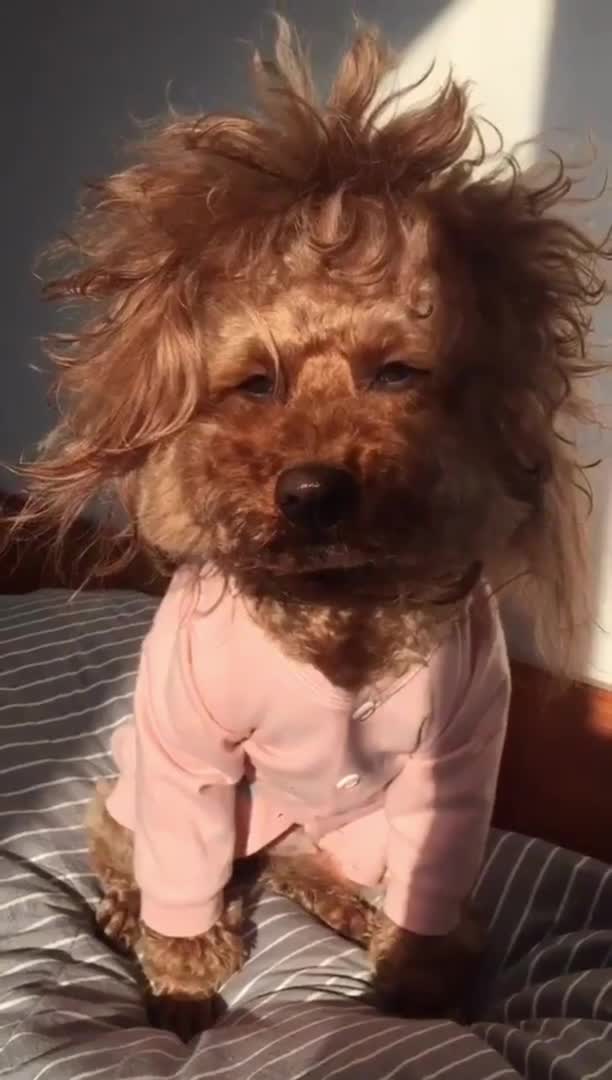 Подпишись 👉 https://vk.com/ykrasheniy_iz_kamny