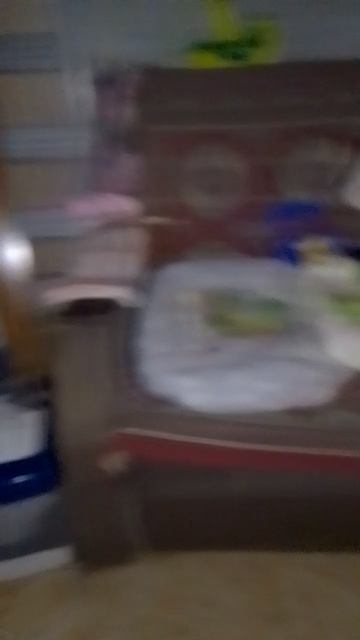VID_20250326_190725.mp4
