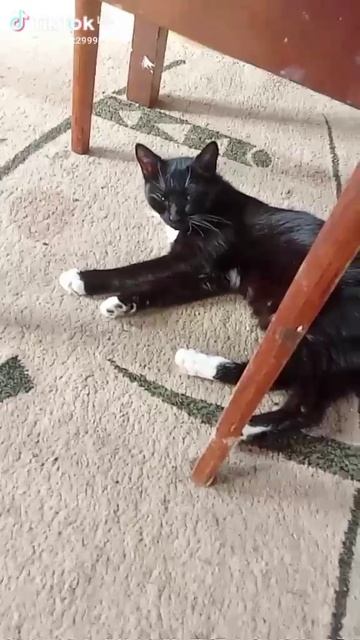 1000002238.mp4