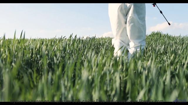 Музыка течёт сквозь поля, как река в сердце - 23 (Years) -- Eyelids -- Live at Monty Hall, 11152017