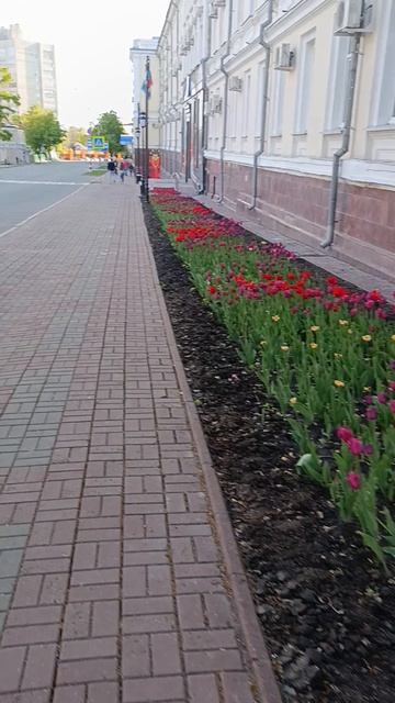 Цветы