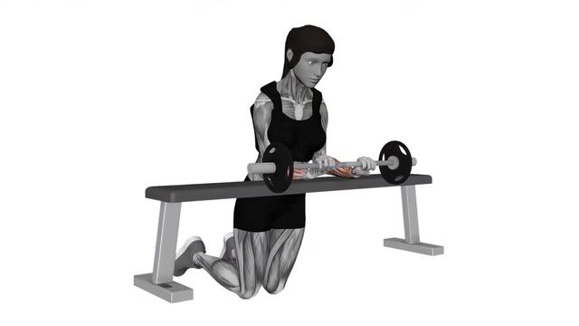 Разгибания запястья от себя со штангой barbell palm down wrist c