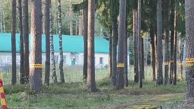 База отдыха в деревне Кирилловское Ленинградской области