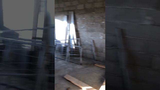 1000254203.mp4