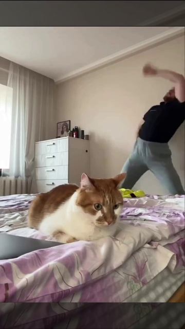 Когда у двуногого весеннее обострение, но ты пока терпишь😆