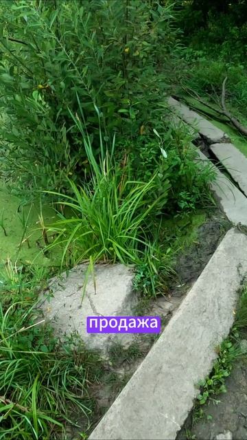 Про спасение неудачных проектов(1)