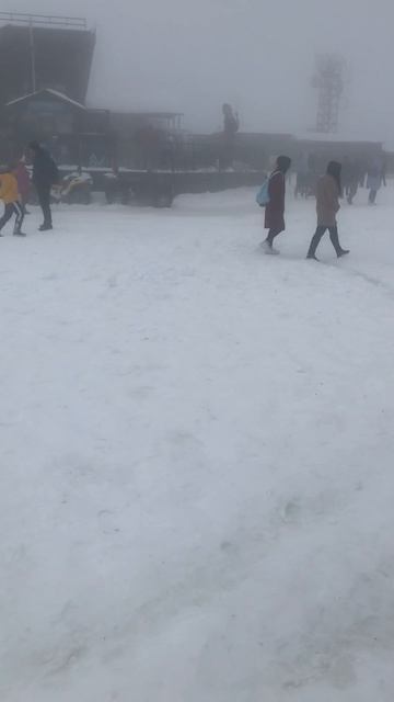 Сочи. Красная поляна. На высоте 2320 км, снега 22 см.