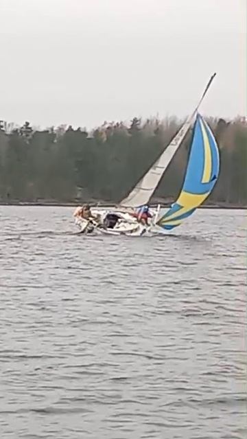 Яхта Фридом 21