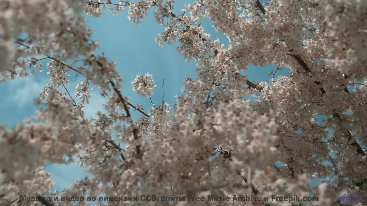 Это не просто клип - это эмоции, которые делают жизнь ярче! - Thinking Free -- Ketsa -- 5D