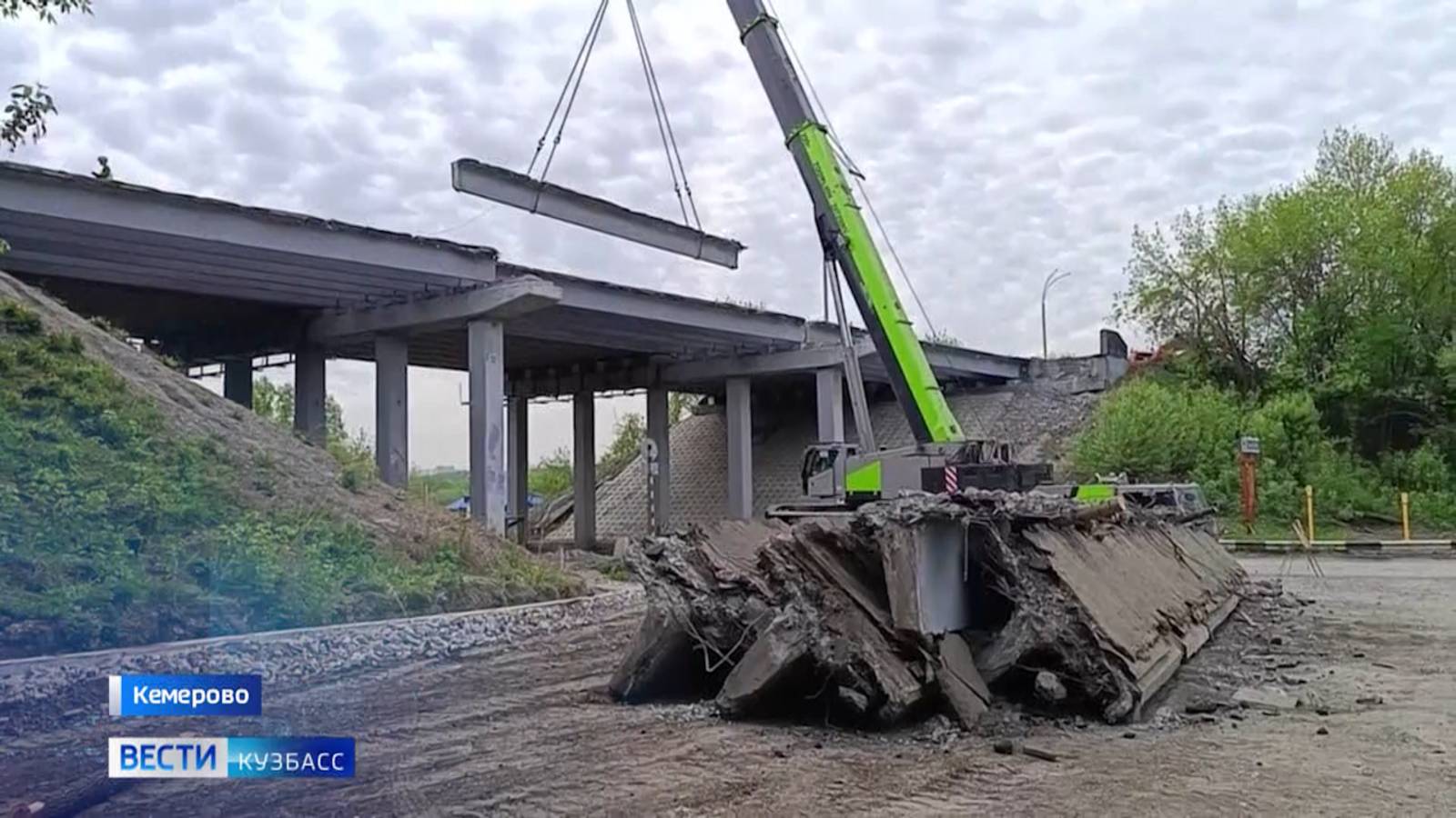 Защита от африканской чумы и ремонт Кузбасского моста: дайджест новостей региона