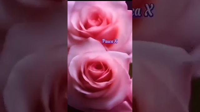 Рәдиф Хужаев - Пар ҡанаттар