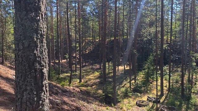 Я прошел 100 000 шагов за 1 ДЕНЬ и вот ЧТО из этого вышло..