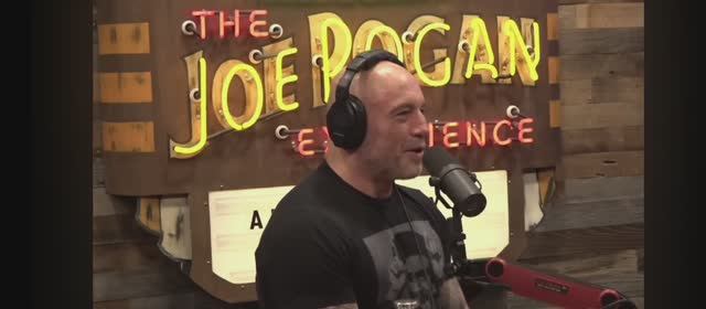 Обсуждение Стивена Сигала на подкасте у Джо Рогана