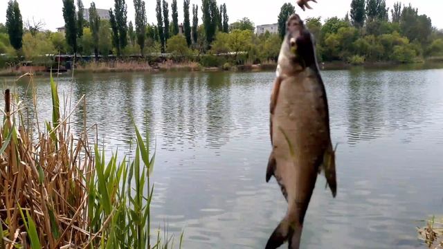 Про то,как весной щука рыбака обхитрила или Кубанская одиссея продолжается