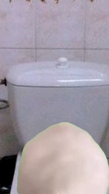 кот упал в унитаз мем#