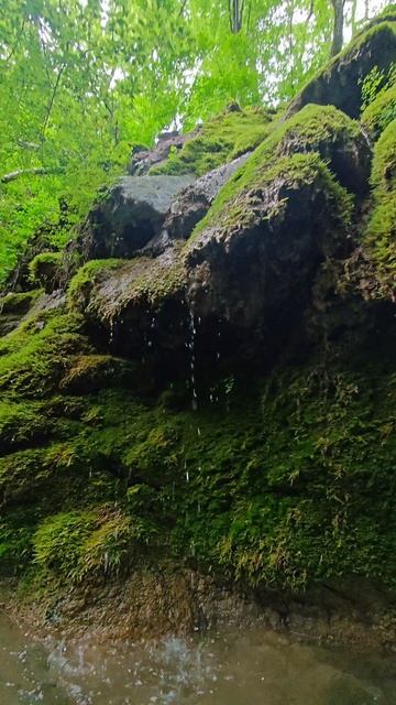 18 мая, 565 день. Вода 13,5°. Посидели в воде 7 минут и проснулись на 100%! 💧 Чудесно! 🌊