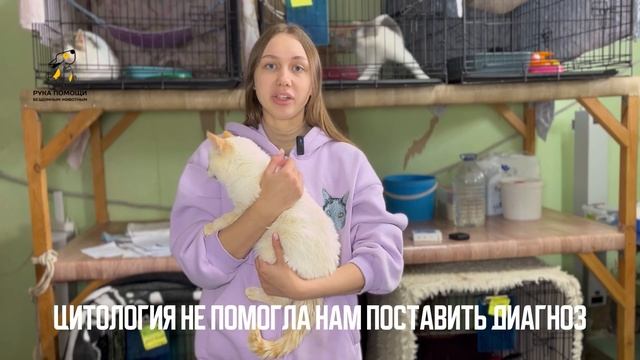 Почти 5 месяцев мы лечим Емелю. Поддержать⬇️