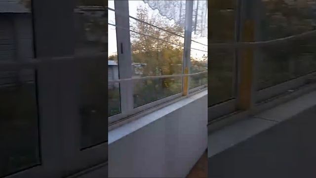VID-20240927-WA0000