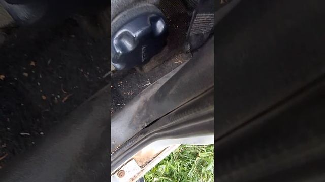 1000008490.mp4