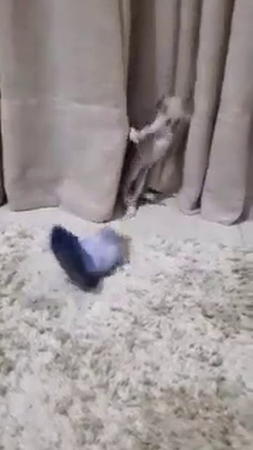 _napuzhalsya_yapfiles.ru