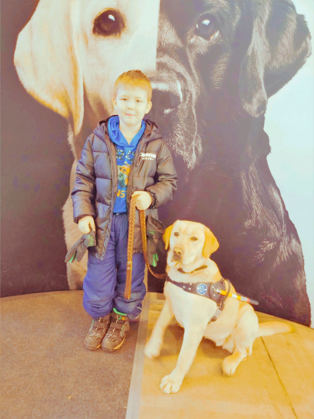 Костя доберман играет в roblox