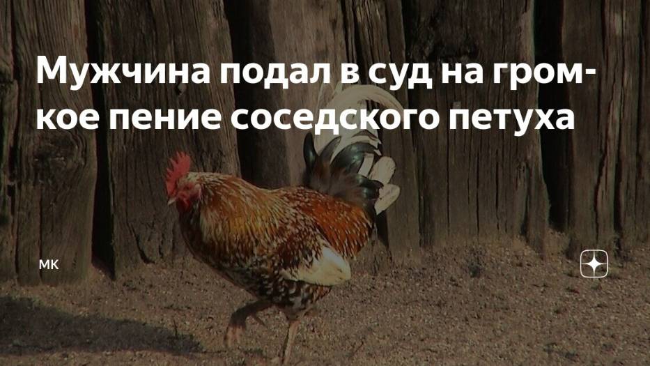 2025. ФРАНЦУЗСКИЕ ПЕТУХИ И СУДЫ ПРОТИВ НИХ. Реальные истории маразма. Мнение А.РОЖИНЦЕВА