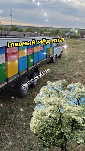 За майским мёдом выехал ждите)