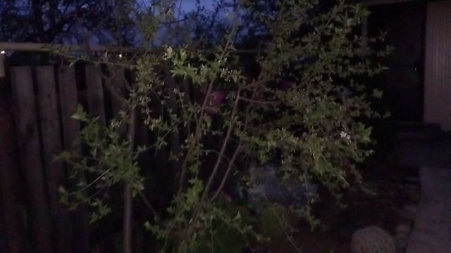 Вечерний променад!😉🤗👋