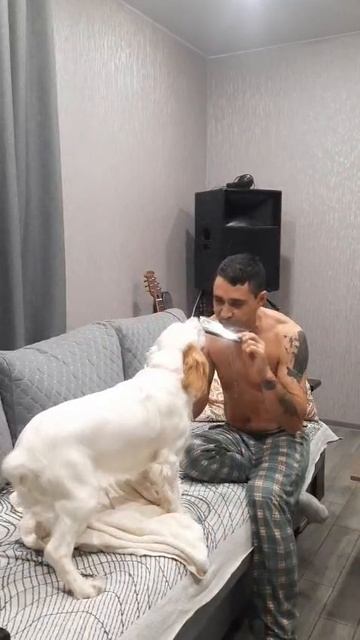 собакавой