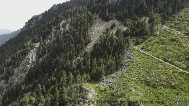 Почему ученые боятся этой комбинации звуков и образов - Days When Youre Not Here -- One Man Book --