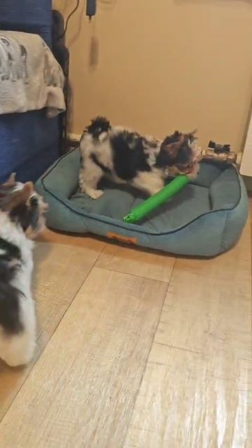 1000007679.mp4