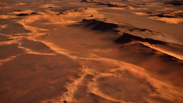 White Fox Music (feat. Константин Лем) - Oasis In The Desert
