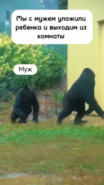 Куда пошли?! 😄