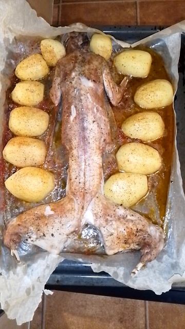 Кролик ТАПАКА. До.