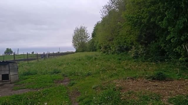 Блогерша я никудышная