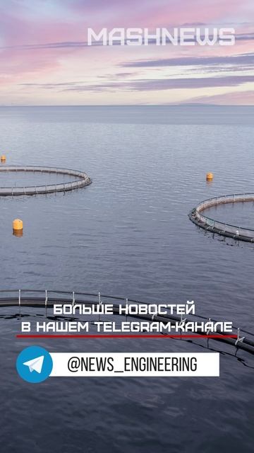 Крупное предприятие по разведению рыбы Органический рост на Северо-Западе России может обанкротиться