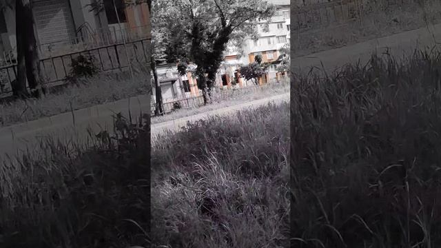 18-05-2025туапсе
